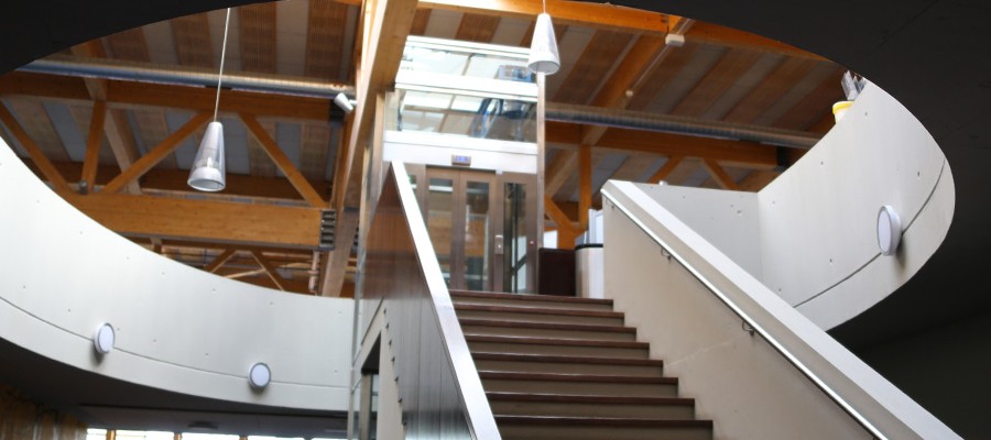 gallery-image